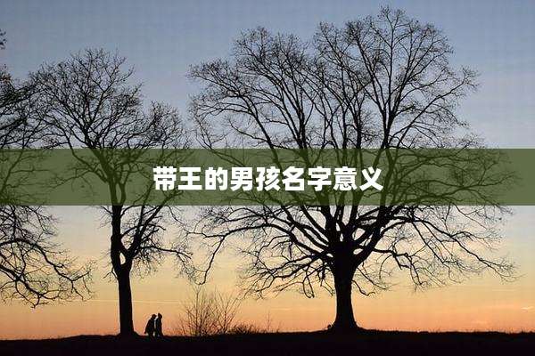 带王的男孩名字意义