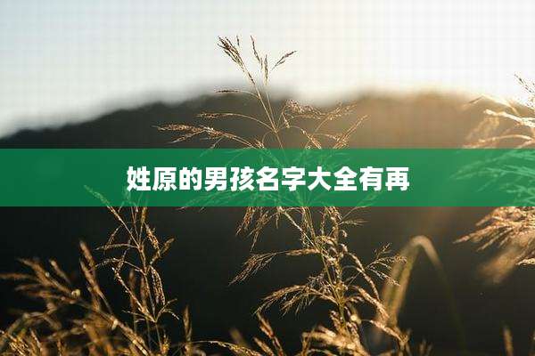 姓原的男孩名字大全有再