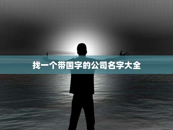 找一个带国字的公司名字大全