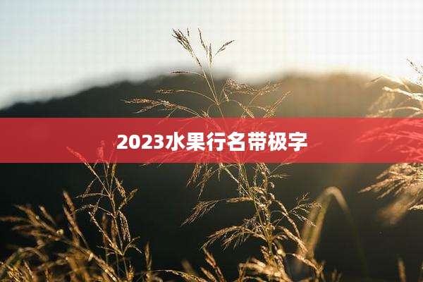 2023水果行名带极字