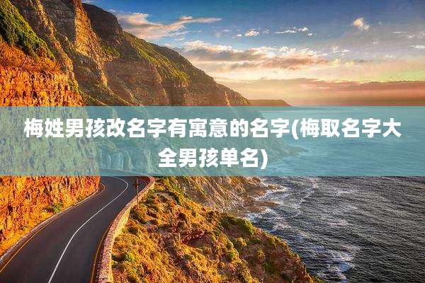梅姓男孩改名字有寓意的名字(梅取名字大全男孩单名)
