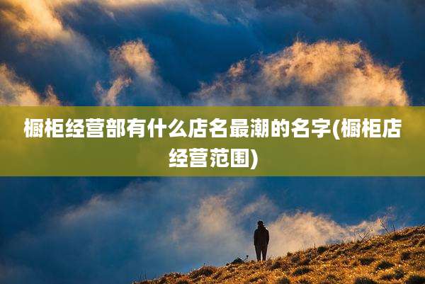 橱柜经营部有什么店名最潮的名字(橱柜店经营范围)