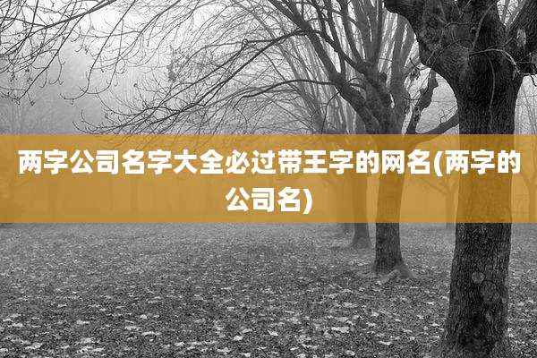 两字公司名字大全必过带王字的网名(两字的公司名)
