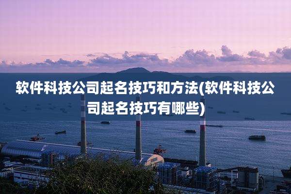 软件科技公司起名技巧和方法(软件科技公司起名技巧有哪些)