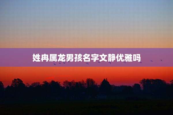 姓冉属龙男孩名字文静优雅吗