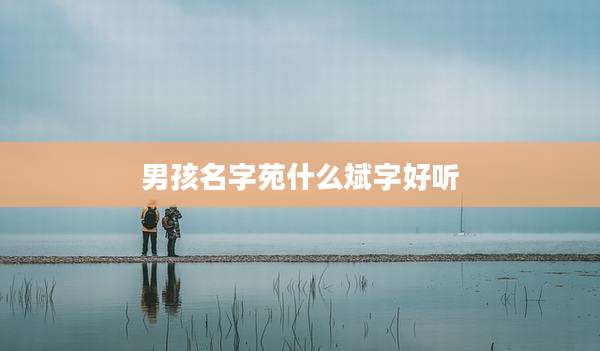 男孩名字苑什么斌字好听