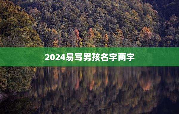 2024易写男孩名字两字