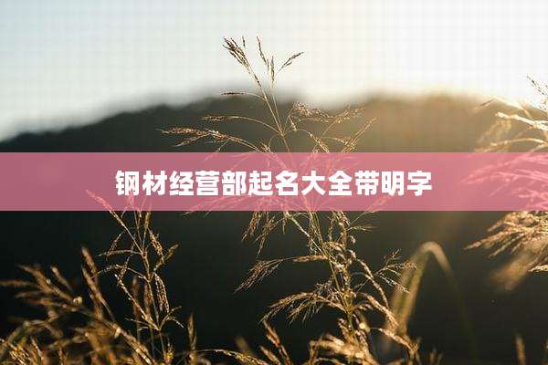 钢材经营部起名大全带明字
