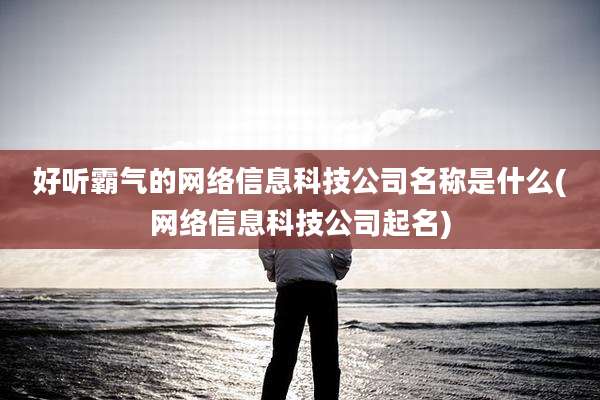 好听霸气的网络信息科技公司名称是什么(网络信息科技公司起名)