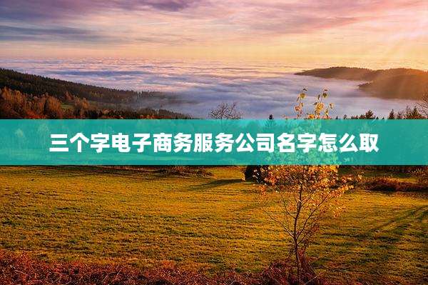 三个字电子商务服务公司名字怎么取