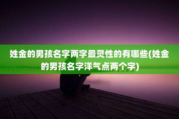 姓金的男孩名字两字最灵性的有哪些(姓金的男孩名字洋气点两个字)