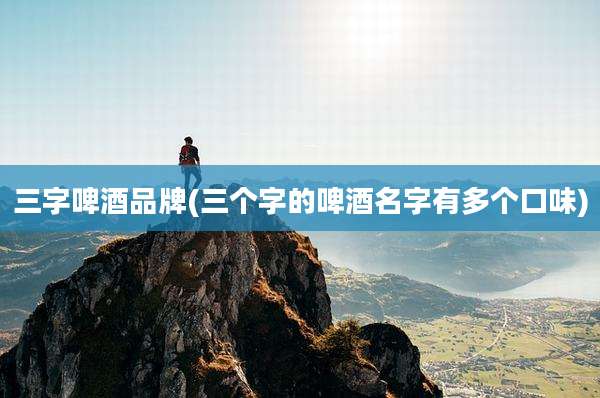 三字啤酒品牌(三个字的啤酒名字有多个口味)