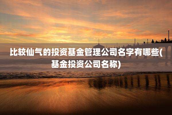 比较仙气的投资基金管理公司名字有哪些(基金投资公司名称)