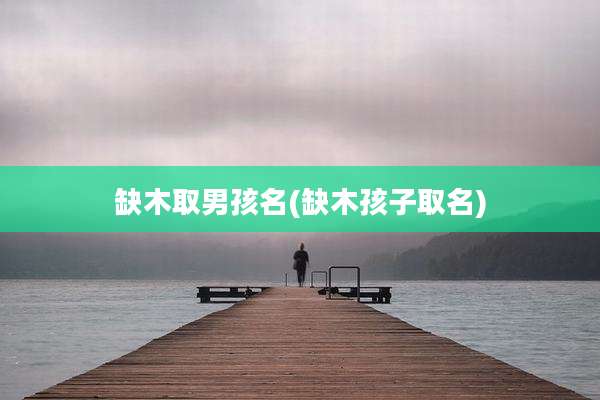 缺木取男孩名(缺木孩子取名)