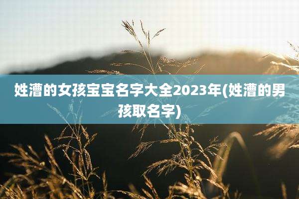 姓漕的女孩宝宝名字大全2023年(姓漕的男孩取名字)