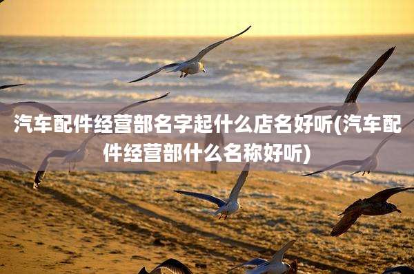 汽车配件经营部名字起什么店名好听(汽车配件经营部什么名称好听)