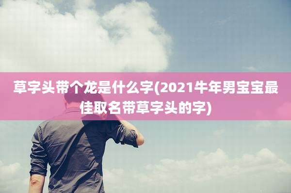 草字头带个龙是什么字(2021牛年男宝宝最佳取名带草字头的字)