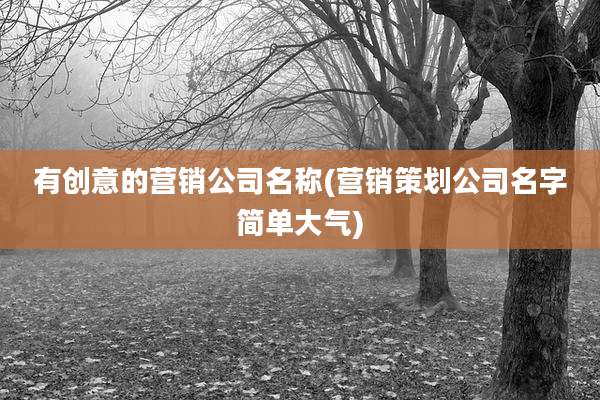 有创意的营销公司名称(营销策划公司名字简单大气)