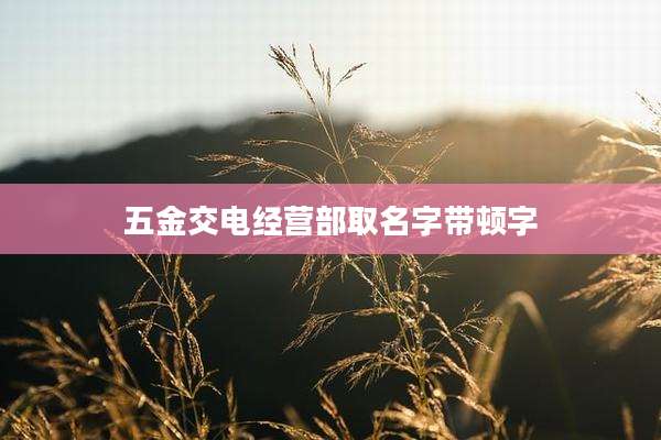 五金交电经营部取名字带顿字