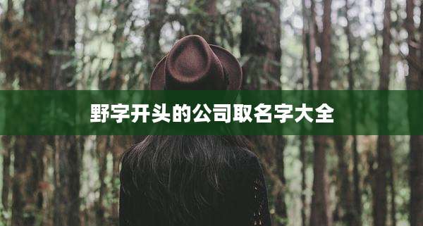 野字开头的公司取名字大全
