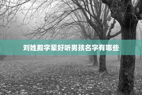 刘姓殿字辈好听男孩名字有哪些