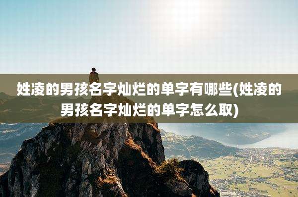 姓凌的男孩名字灿烂的单字有哪些(姓凌的男孩名字灿烂的单字怎么取)