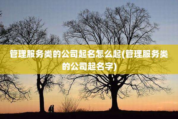 管理服务类的公司起名怎么起(管理服务类的公司起名字)