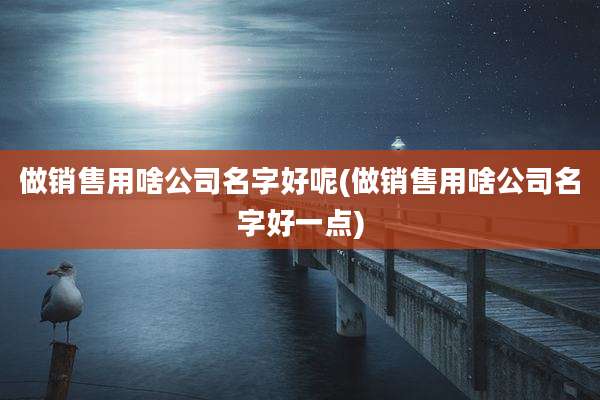 做销售用啥公司名字好呢(做销售用啥公司名字好一点)