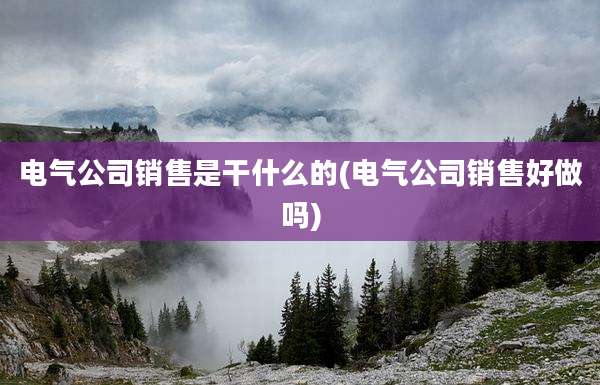 电气公司销售是干什么的(电气公司销售好做吗)