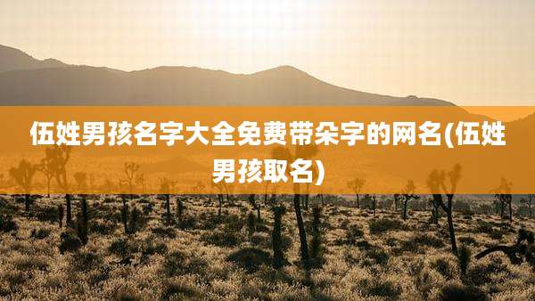伍姓男孩名字大全免费带朵字的网名(伍姓男孩取名)