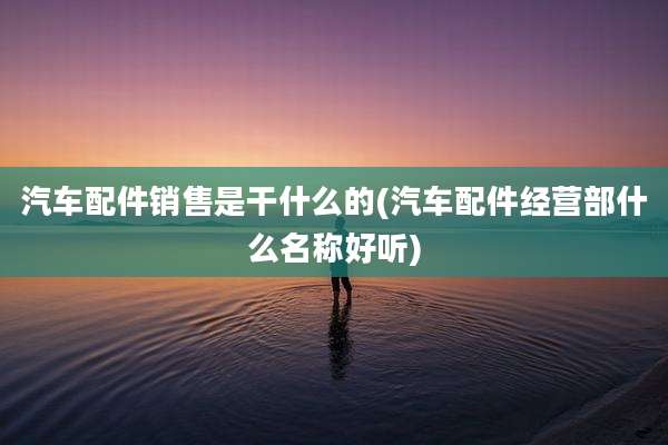 汽车配件销售是干什么的(汽车配件经营部什么名称好听)