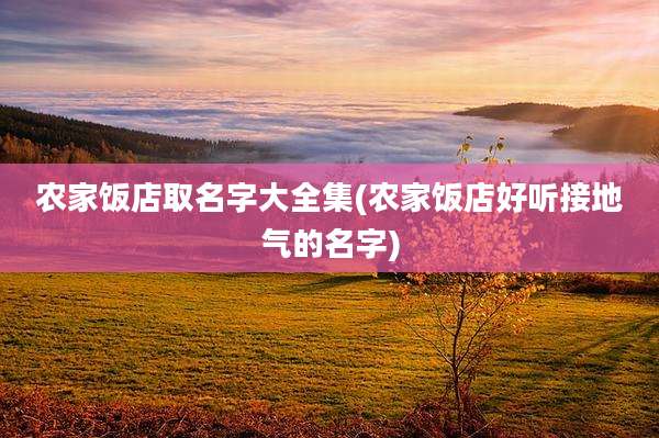 农家饭店取名字大全集(农家饭店好听接地气的名字)