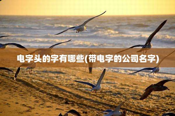 电字头的字有哪些(带电字的公司名字)