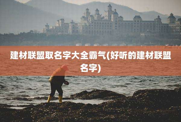 建材联盟取名字大全霸气(好听的建材联盟名字)