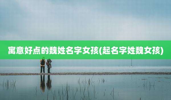寓意好点的魏姓名字女孩(起名字姓魏女孩)