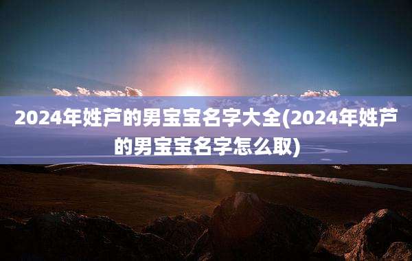 2024年姓芦的男宝宝名字大全(2024年姓芦的男宝宝名字怎么取)