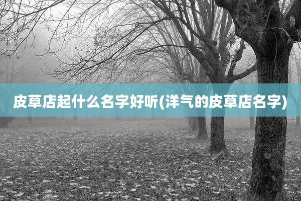 皮草店起什么名字好听(洋气的皮草店名字)
