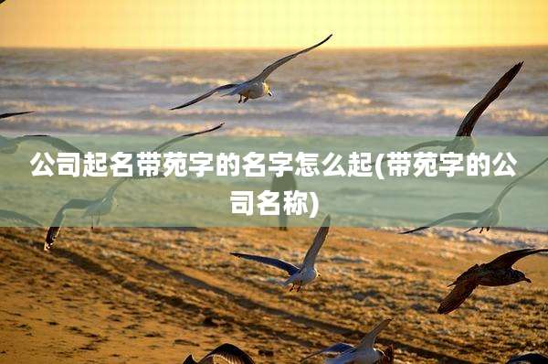 公司起名带苑字的名字怎么起(带苑字的公司名称)