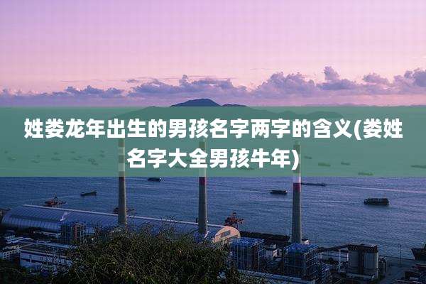 姓娄龙年出生的男孩名字两字的含义(娄姓名字大全男孩牛年)