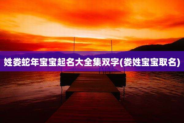 姓娄蛇年宝宝起名大全集双字(娄姓宝宝取名)