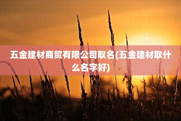 五金建材商贸有限公司取名(五金建材取什么名字好)