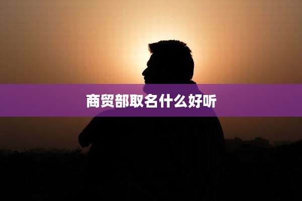 商贸部取名什么好听