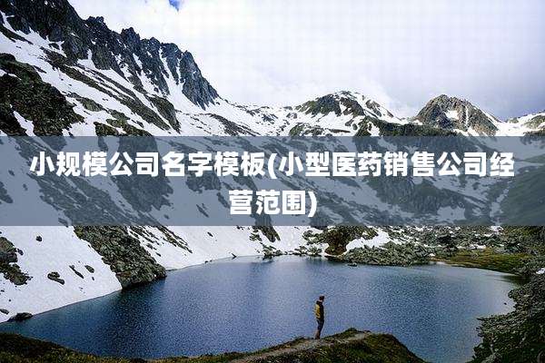 小规模公司名字模板(小型医药销售公司经营范围)