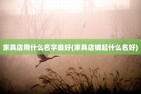 家具店用什么名字最好(家具店铺起什么名好)