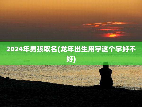 2024年男孩取名(龙年出生用宇这个字好不好)