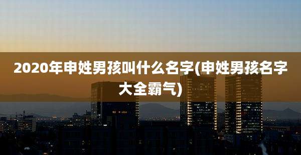 2020年申姓男孩叫什么名字(申姓男孩名字大全霸气)