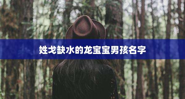 姓戈缺水的龙宝宝男孩名字