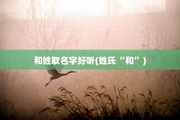 和姓取名字好听(姓氏“和”)