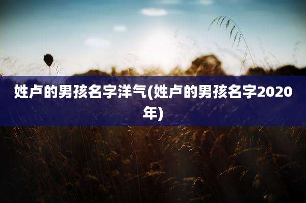 姓卢的男孩名字洋气(姓卢的男孩名字2020年)