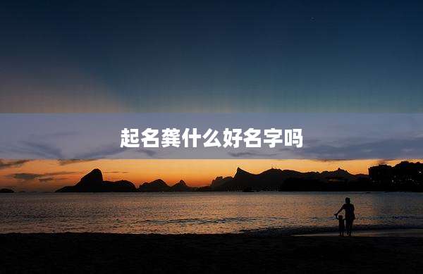 起名龚什么好名字吗